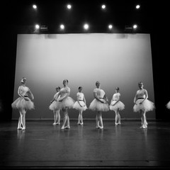 Showcase2025-Levi Baruch-0213.jpg
